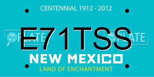 E71TSS New Mexico License Plate