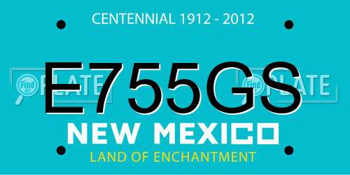 E755GS New Mexico License Plate