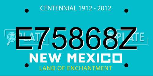 E75868Z New Mexico License Plate