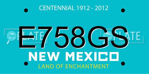 E758GS New Mexico License Plate