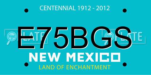 E75BGS New Mexico License Plate