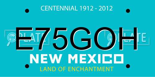 E75GOH New Mexico License Plate