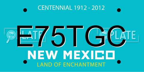 E75TGC New Mexico License Plate