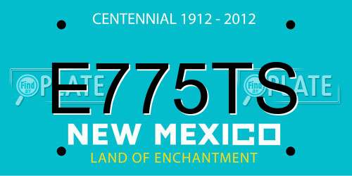 E775TS New Mexico License Plate