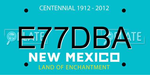 E77DBA New Mexico License Plate