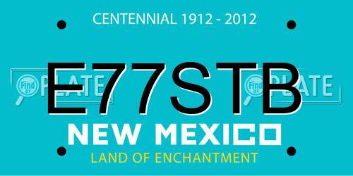 E77STB New Mexico License Plate