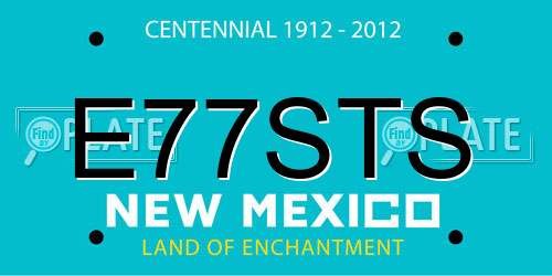 E77STS New Mexico License Plate