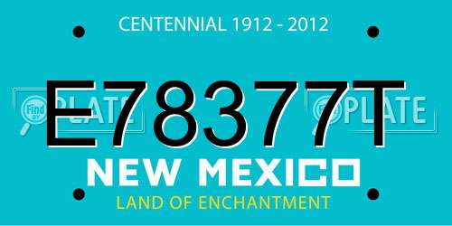 E78377T New Mexico License Plate