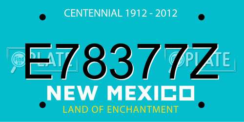 E78377Z New Mexico License Plate