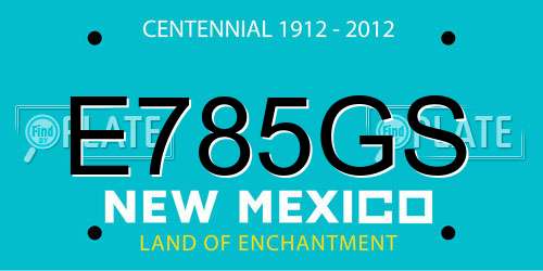 E785GS New Mexico License Plate