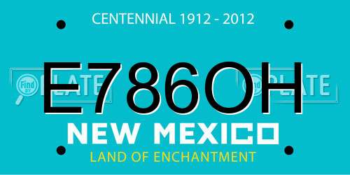 E786OH New Mexico License Plate
