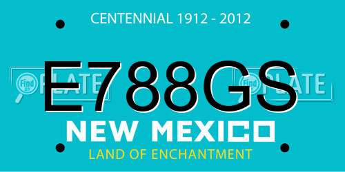 E788GS New Mexico License Plate