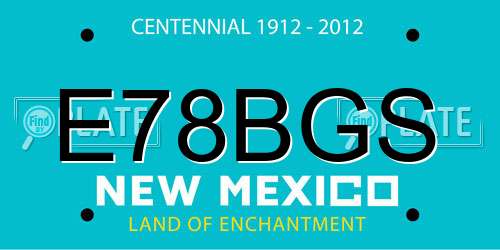 E78BGS New Mexico License Plate