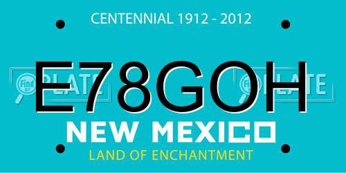 E78GOH New Mexico License Plate