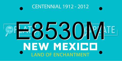 E8530M New Mexico License Plate