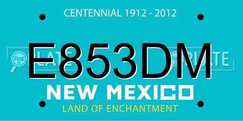 E853DM New Mexico License Plate