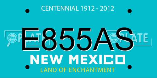 E855AS New Mexico License Plate