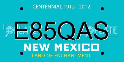 E85QAS New Mexico License Plate