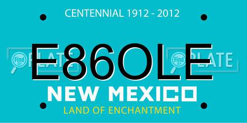 E86OLE New Mexico License Plate