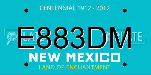 E883DM New Mexico License Plate