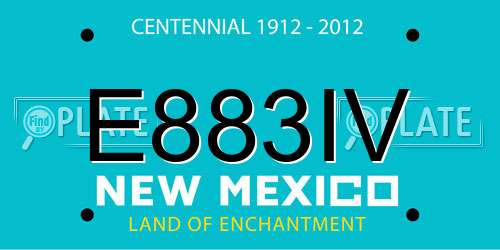 E883IV New Mexico License Plate