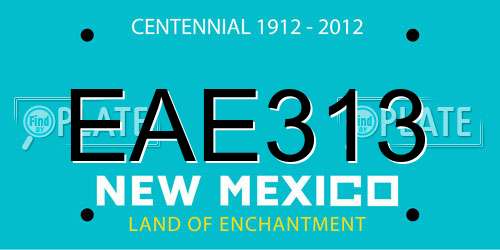 EAE313 New Mexico License Plate