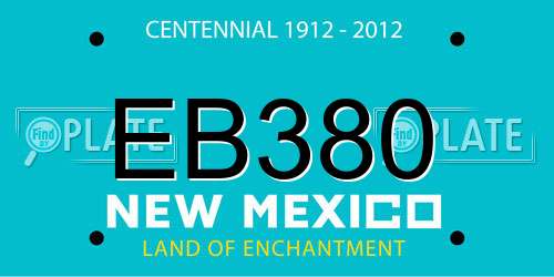 EB380 New Mexico License Plate