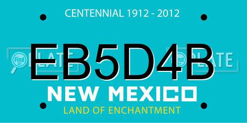 EB5D4B New Mexico License Plate
