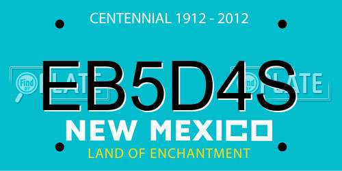 EB5D4S New Mexico License Plate