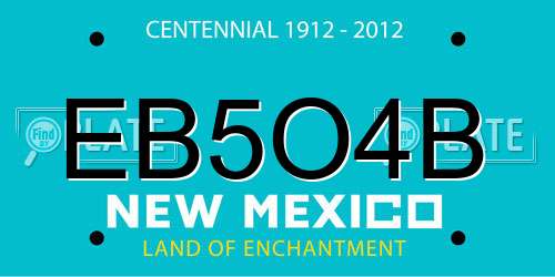 EB5O4B New Mexico License Plate