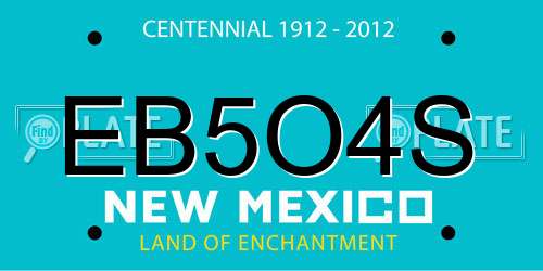 EB5O4S New Mexico License Plate