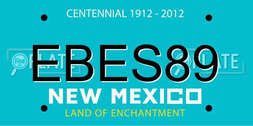 EBES89 New Mexico License Plate
