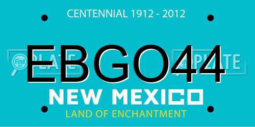 EBGO44 New Mexico License Plate