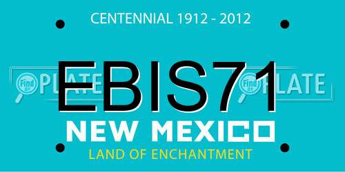 EBIS71 New Mexico License Plate