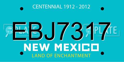 EBJ7317 New Mexico License Plate