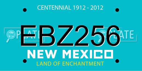 EBZ256 New Mexico License Plate