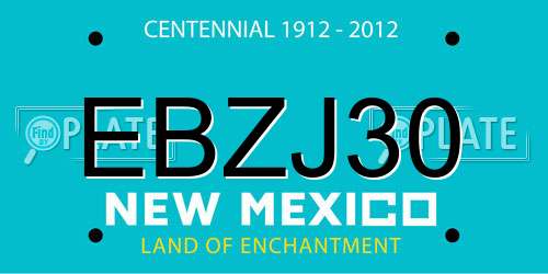 EBZJ30 New Mexico License Plate
