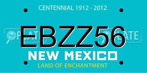 EBZZ56 New Mexico License Plate