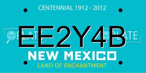 EE2Y4B New Mexico License Plate