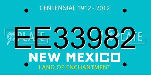 EE33982 New Mexico License Plate
