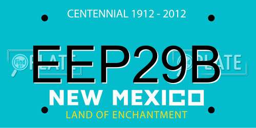 EEP29B New Mexico License Plate