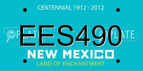 EES490 New Mexico License Plate