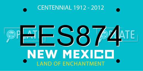 EES874 New Mexico License Plate