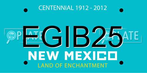 EGIB25 New Mexico License Plate