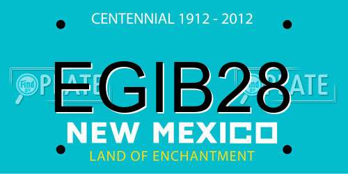 EGIB28 New Mexico License Plate