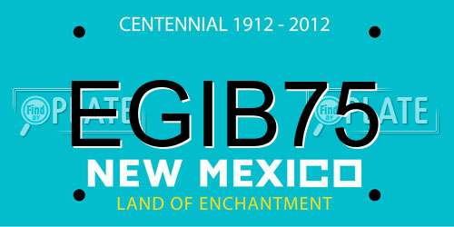 EGIB75 New Mexico License Plate