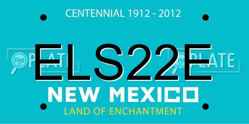 ELS22E New Mexico License Plate