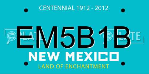 EM5B1B New Mexico License Plate