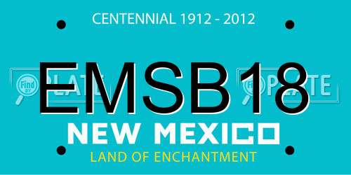 EMSB18 New Mexico License Plate