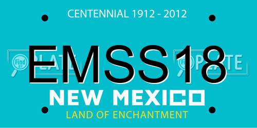 EMSS18 New Mexico License Plate